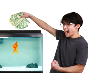 Michael Reeves goldfish: hele historien